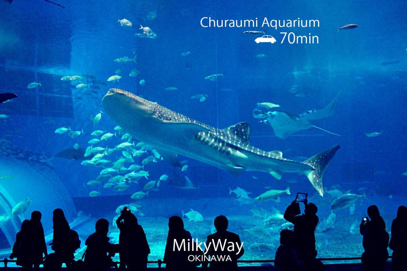 Вилла Okinawa Milky Way Йомитан Экстерьер фото